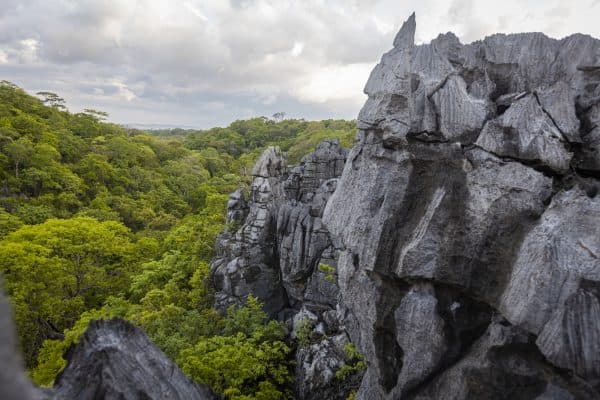 Aperçu du projet MadagascarExplore